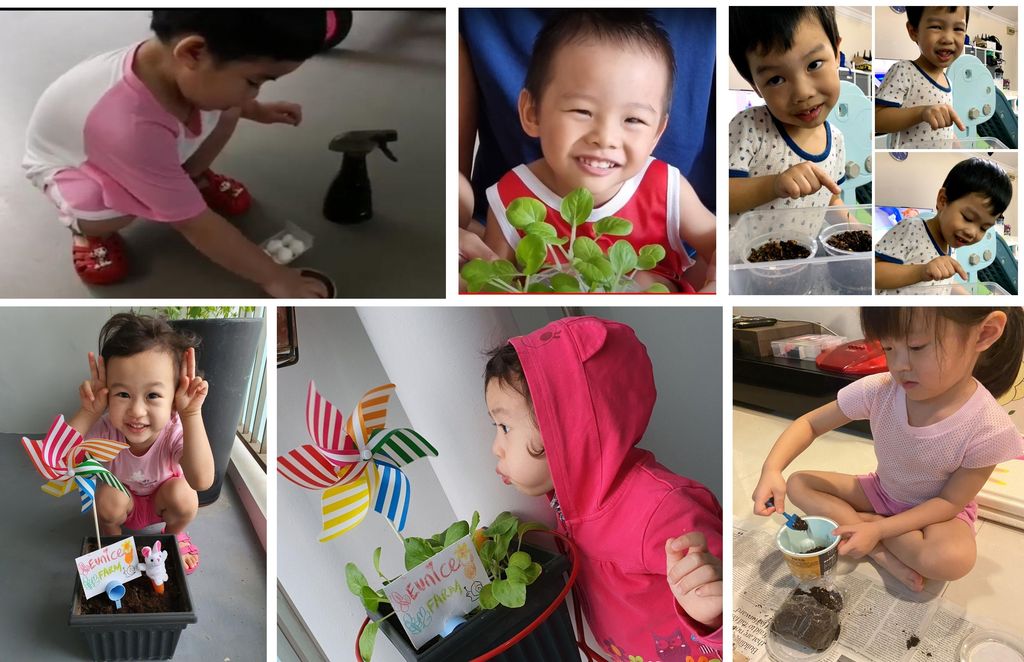 SSDB 2021: Family Involvement Projects — photo 2