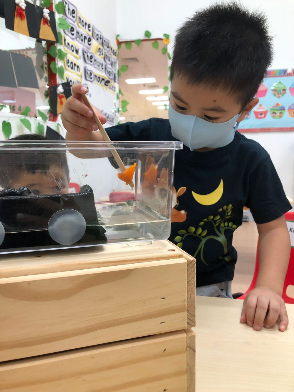 Caring for Class Pet Terrapin — photo 4