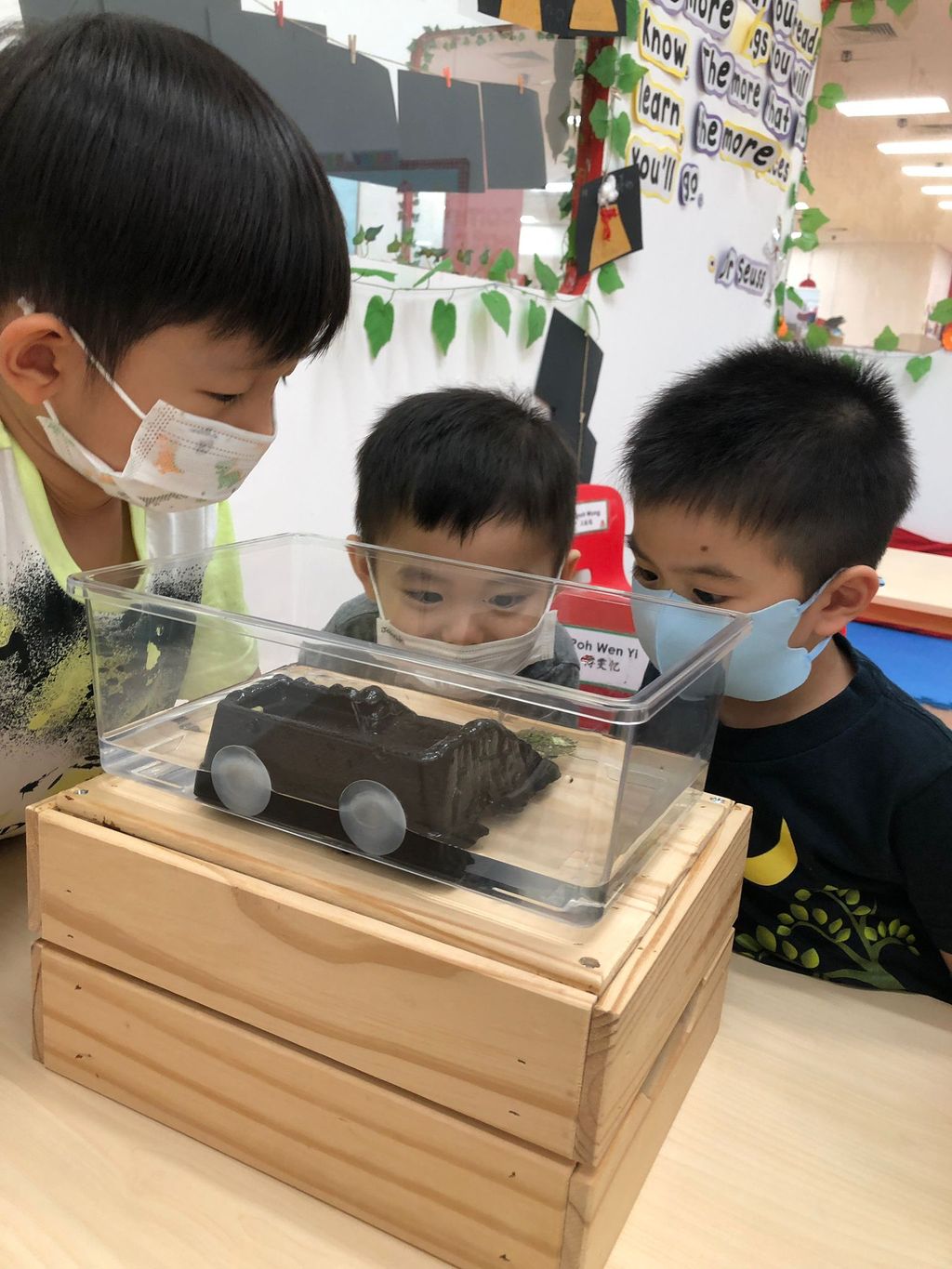 Caring for Class Pet Terrapin — photo 11