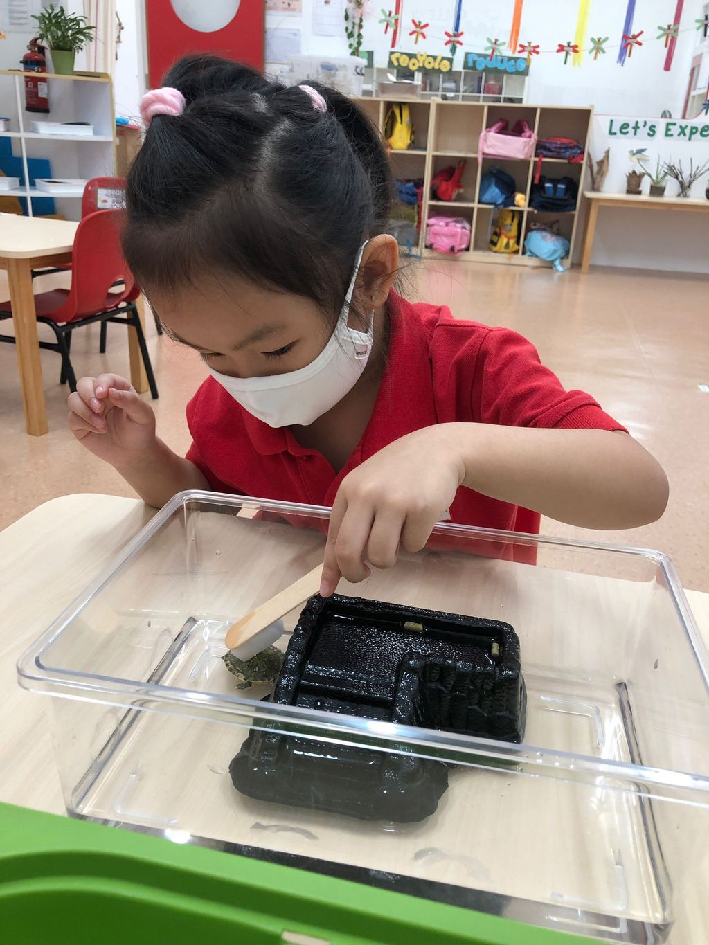 Caring for Class Pet Terrapin — photo 14
