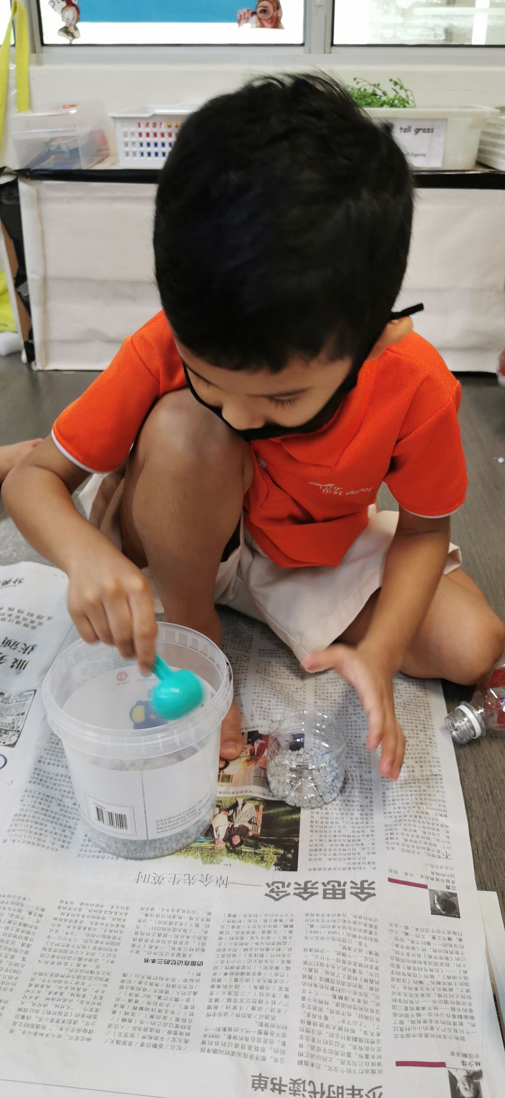 Terrarium making