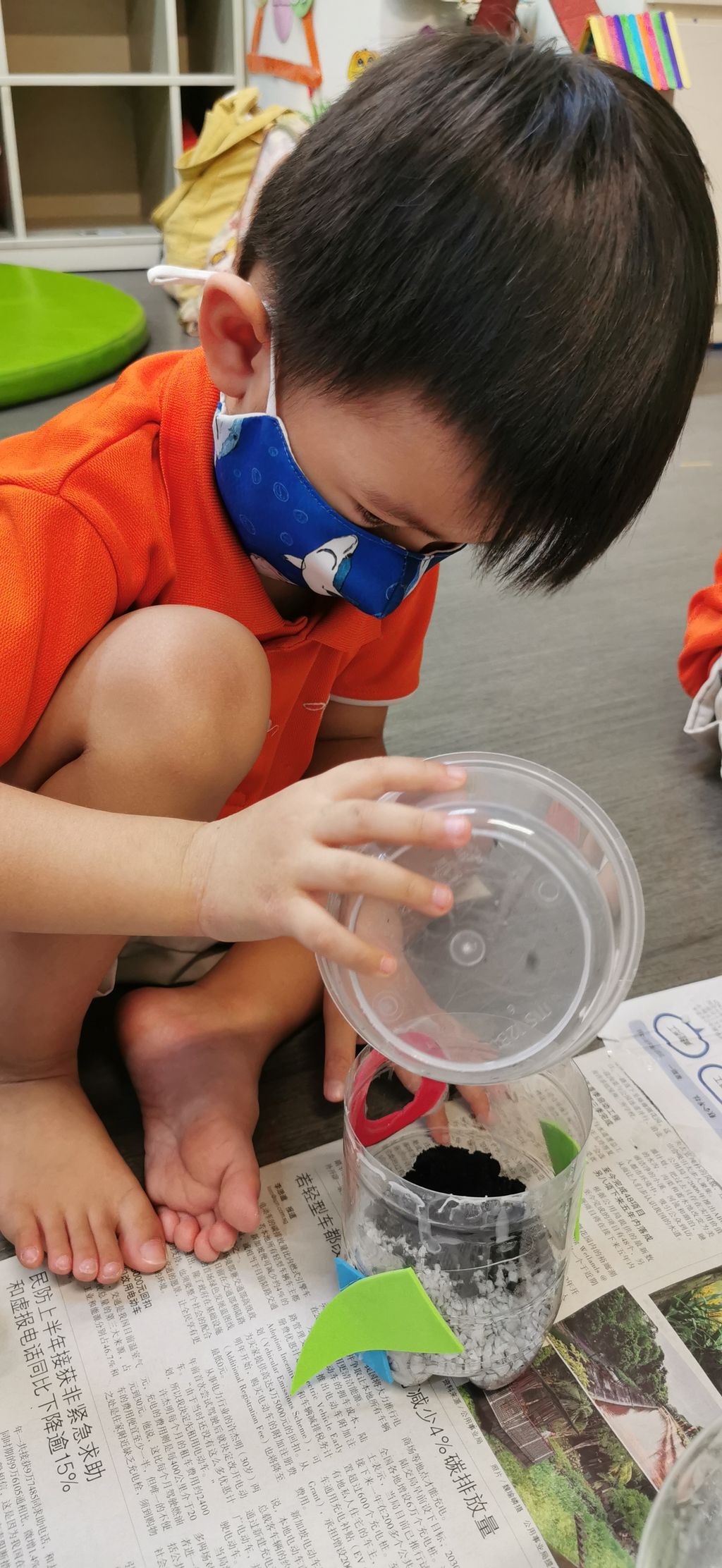 Terrarium making — photo 6