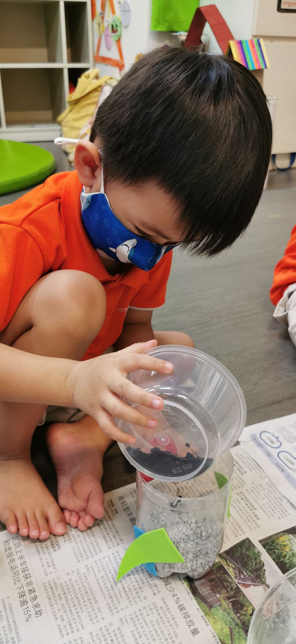 Terrarium making — photo 7