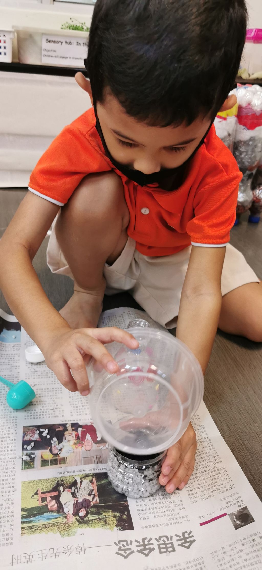 Terrarium making — photo 12