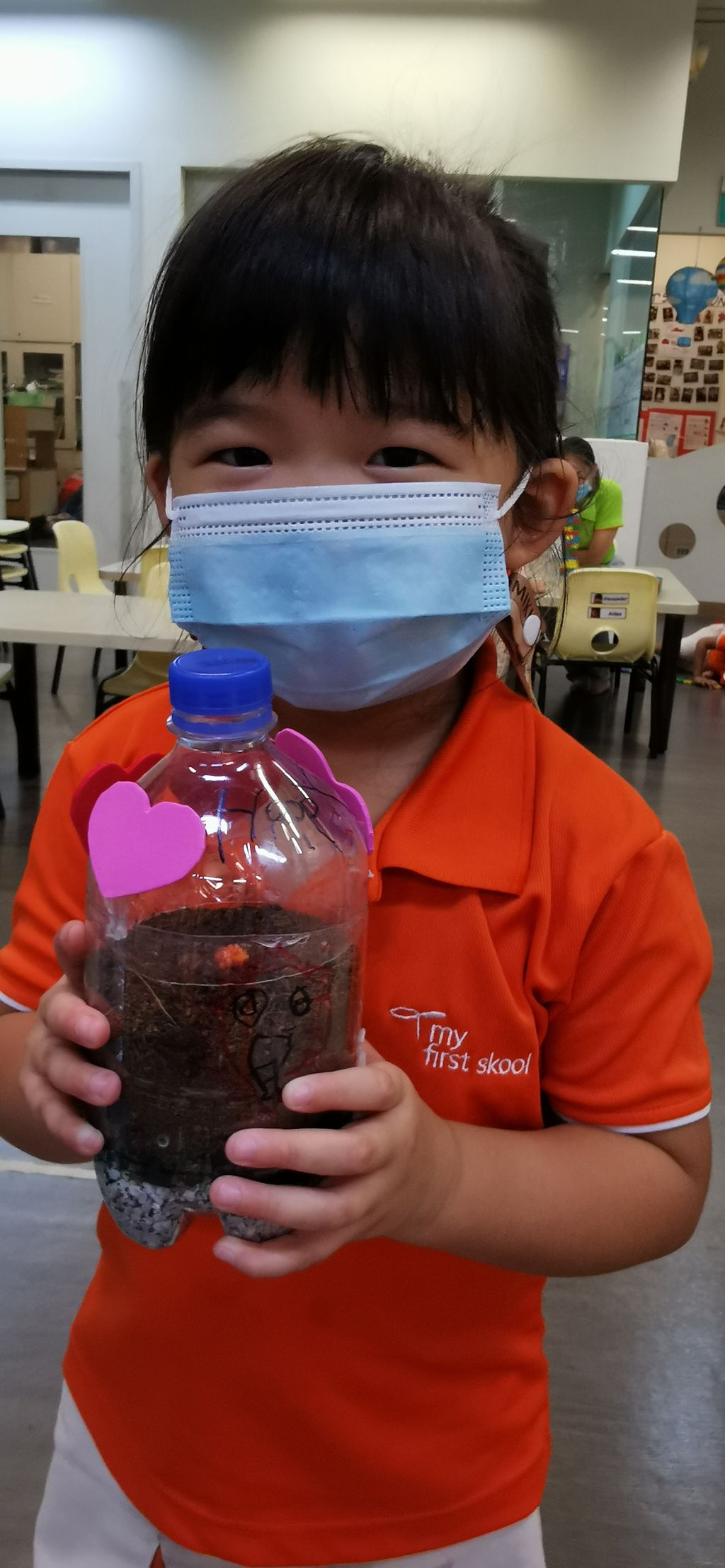 Terrarium making — photo 20