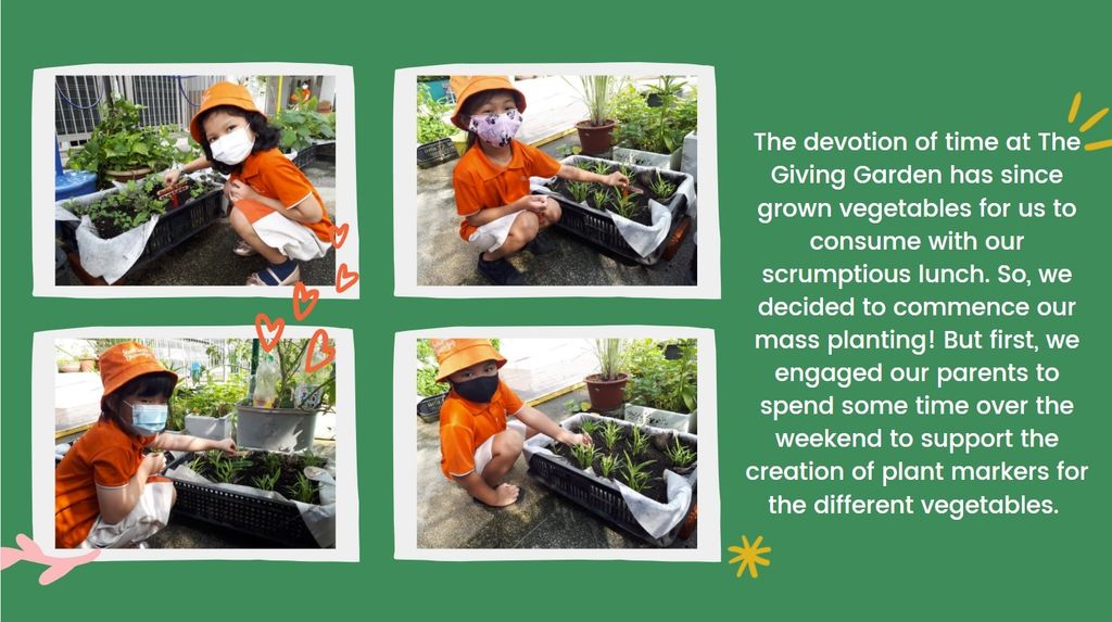 The Giving Garden — photo 2