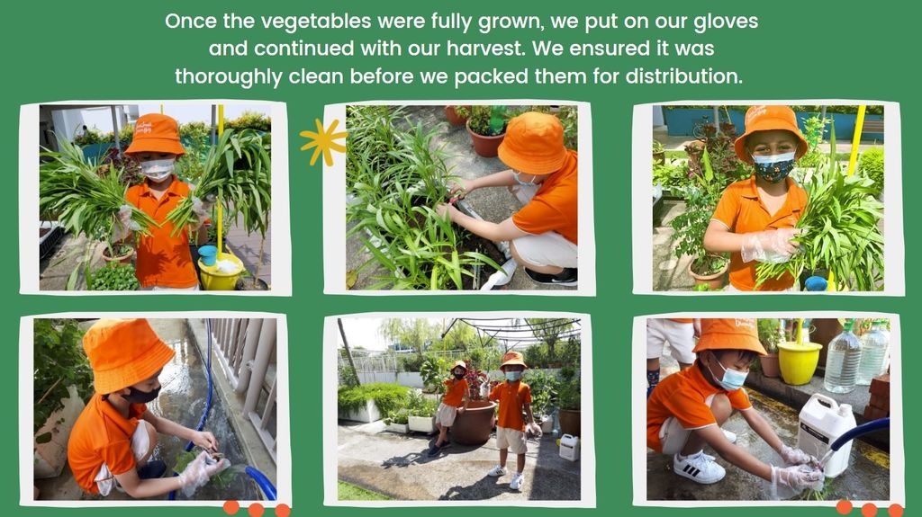 The Giving Garden — photo 4