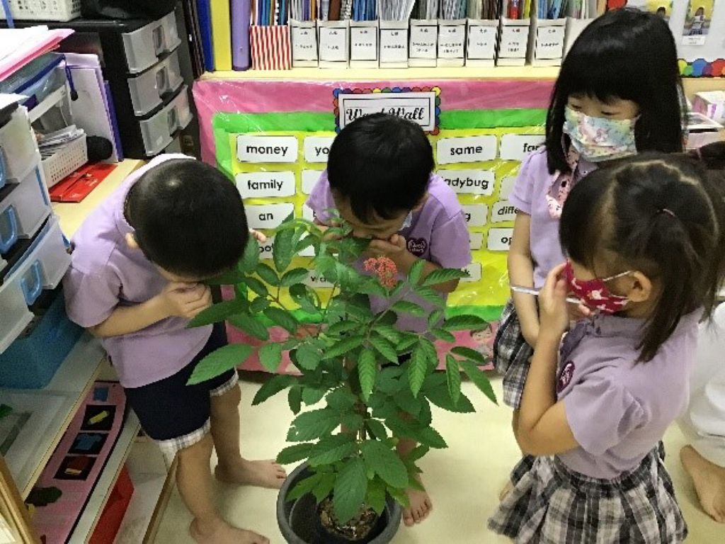 Biodiversity - The Green Wave — photo 2