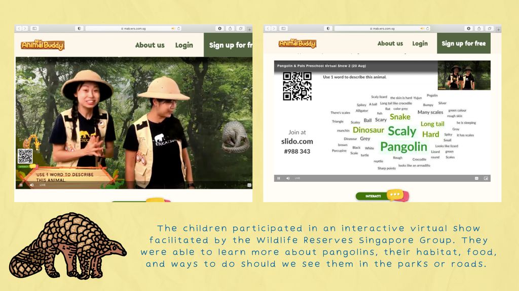 Pangolin and Pals Virtual Show (A Home for You and Me) — photo 2
