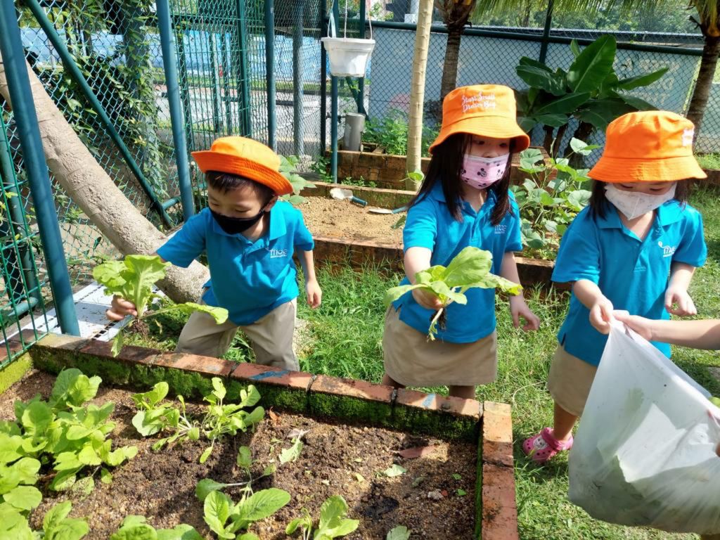 MK@WL - Sharing the Fruits of Labor — photo 1