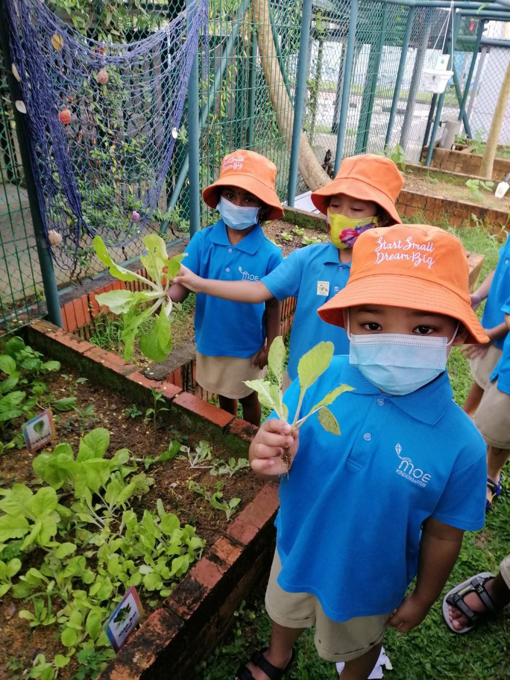 MK@WL - Sharing the Fruits of Labor — photo 4