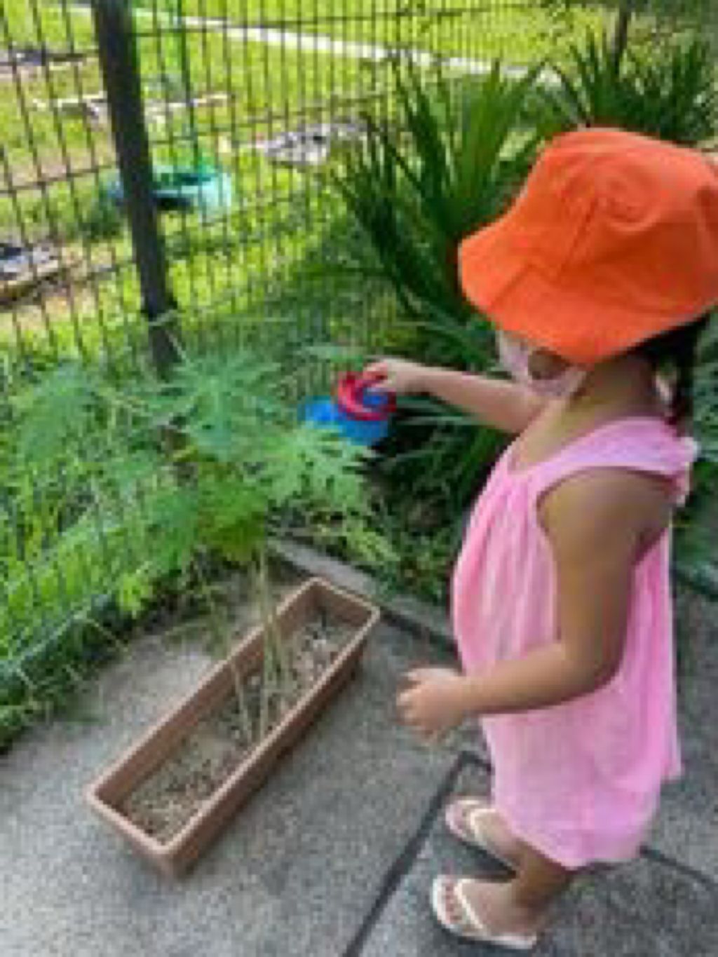 Giving Back to the Community — photo 1
