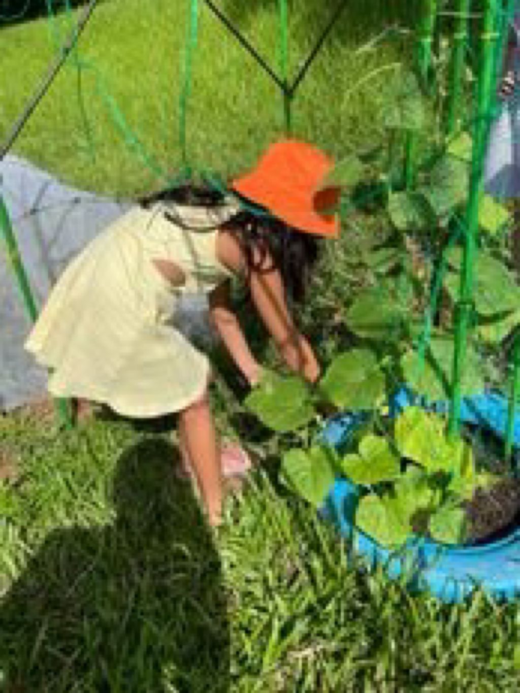 Giving Back to the Community — photo 12