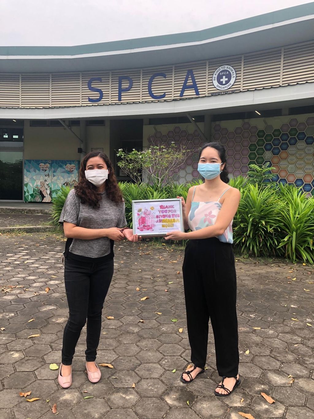We Care for Pet Care Finale