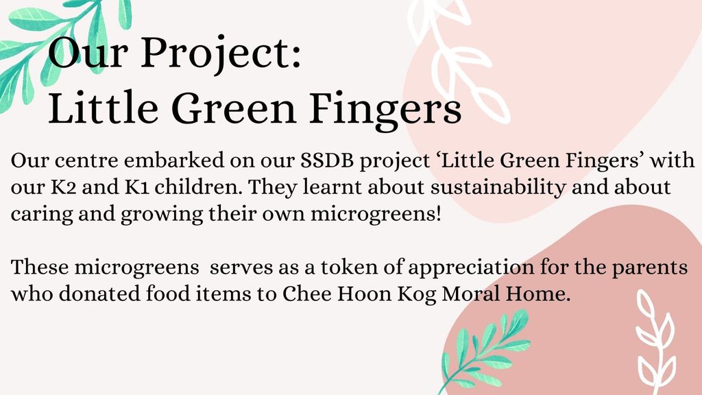 LITTLE GREEN FINGERS 🌱 — photo 2