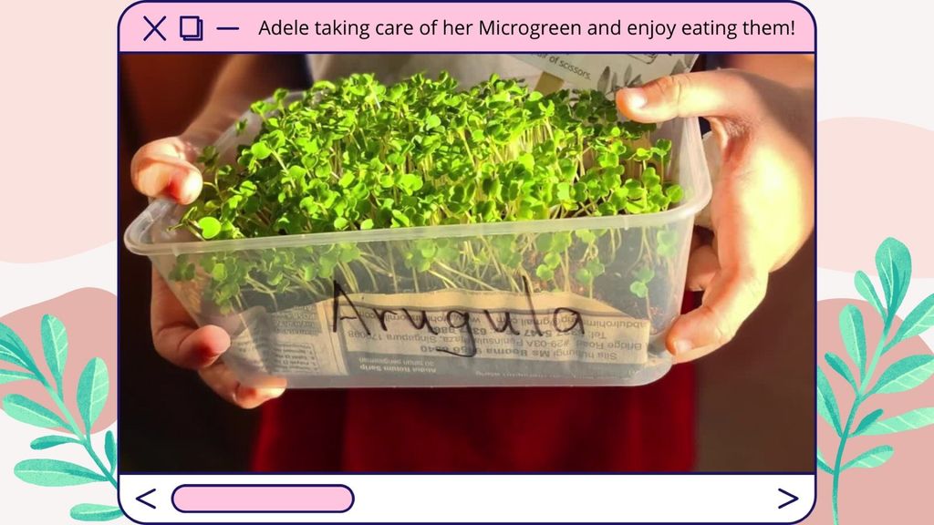 LITTLE GREEN FINGERS 🌱 — photo 7