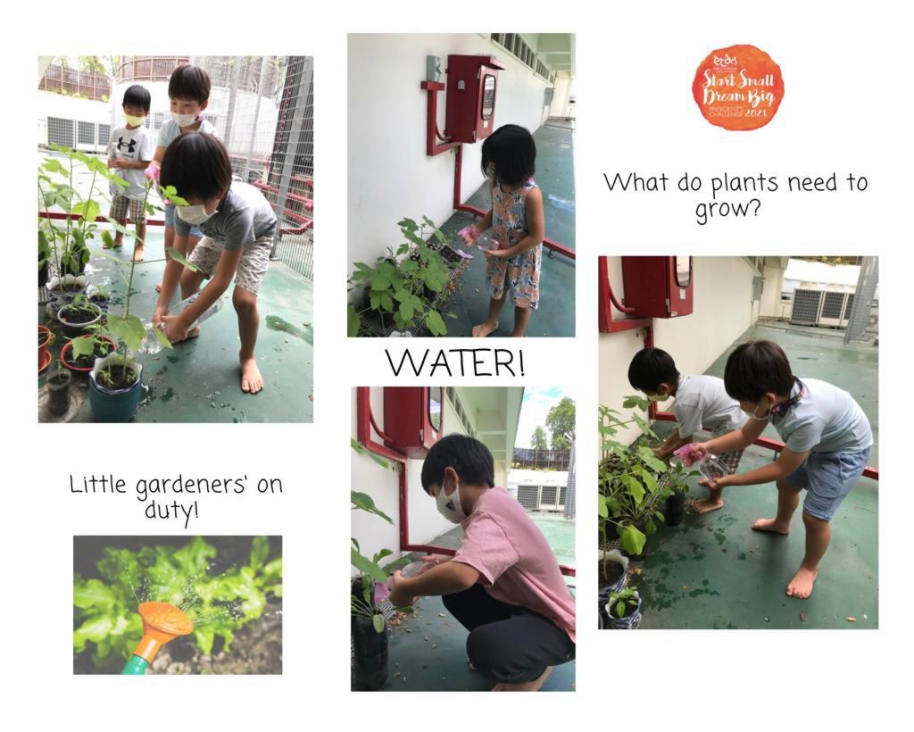Finale part 1 : BARTER TRADE! Plant for a cause — photo 3