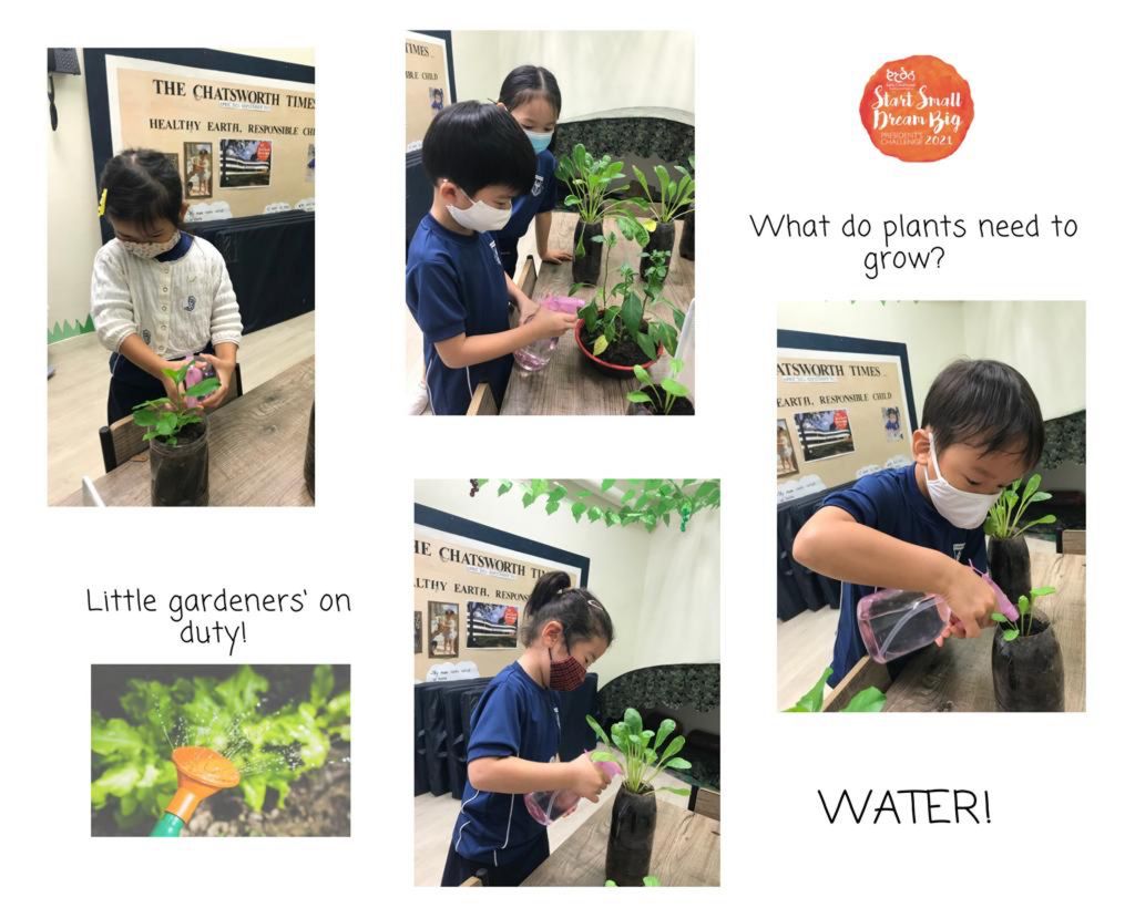 Finale part 1 : BARTER TRADE! Plant for a cause — photo 5