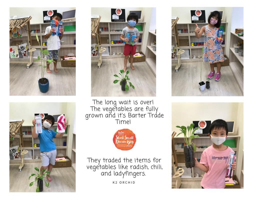 Finale part 1 : BARTER TRADE! Plant for a cause — photo 7
