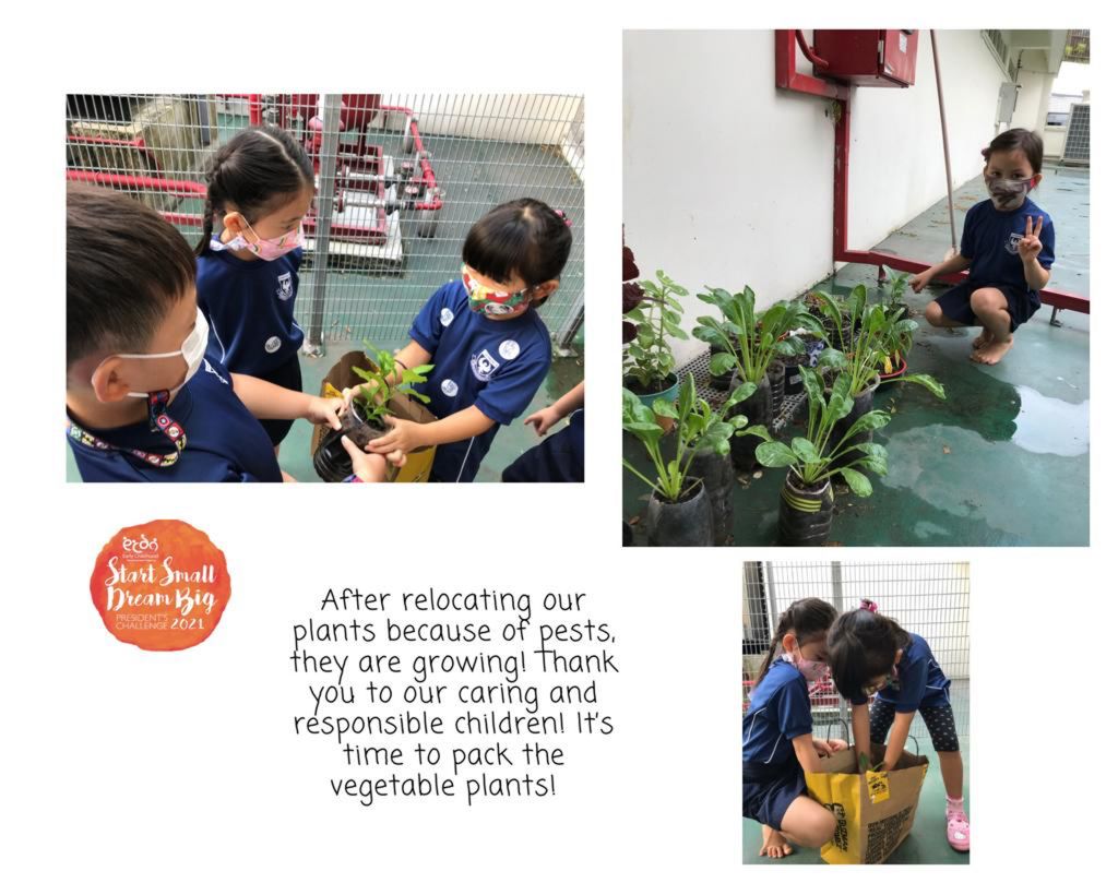 Finale part 1 : BARTER TRADE! Plant for a cause — photo 8