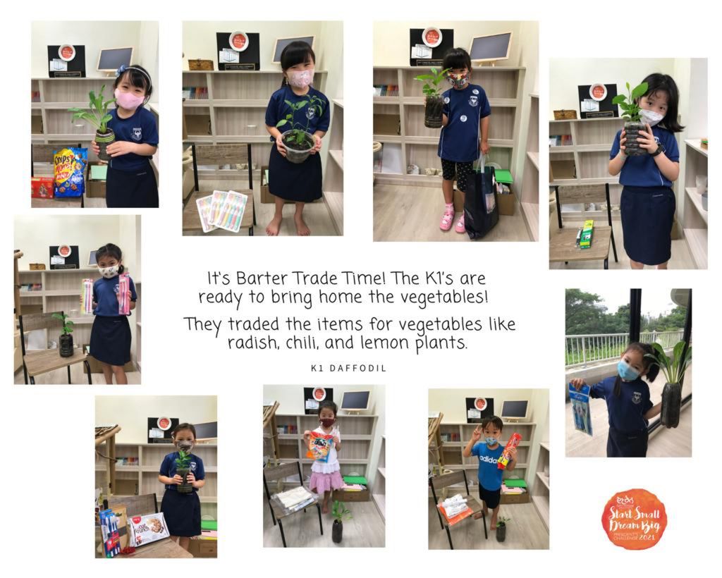 Finale part 1 : BARTER TRADE! Plant for a cause — photo 9