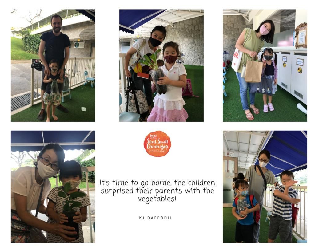 Finale part 1 : BARTER TRADE! Plant for a cause — photo 10