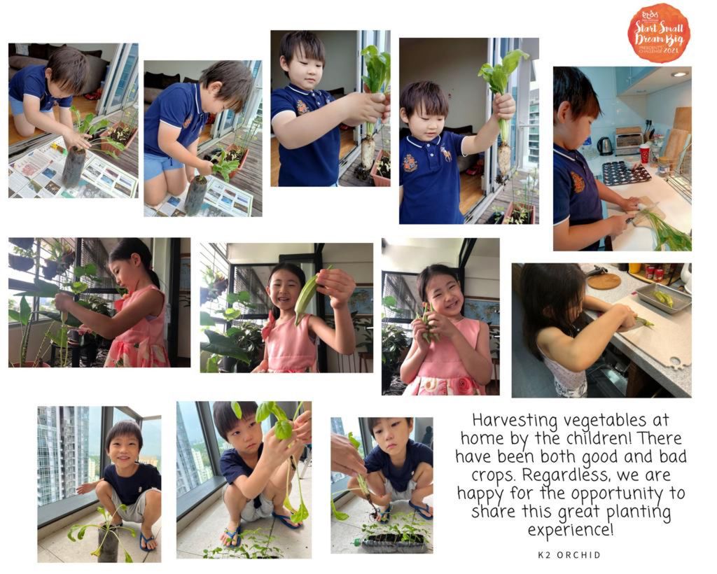 Finale part 1 : BARTER TRADE! Plant for a cause — photo 11