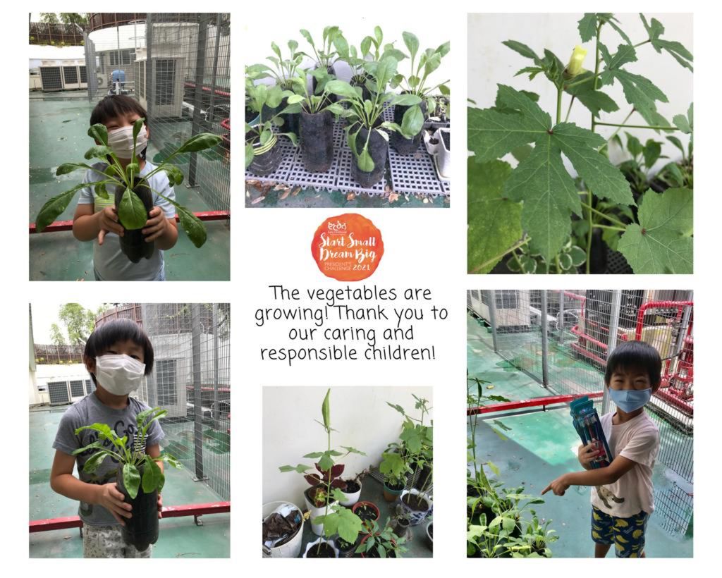 Finale part 1 : BARTER TRADE! Plant for a cause — photo 12