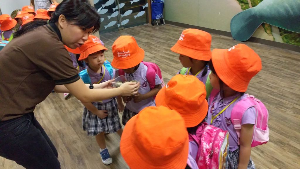 WOW Wild Learn Programme (娃娃游园乐) — photo 3