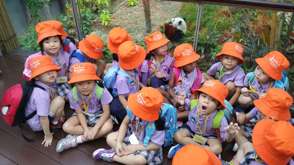 WOW Wild Learn Programme (娃娃游园乐) — photo 5