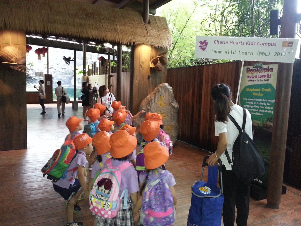 WOW Wild Learn Programme (娃娃游园乐) — photo 7