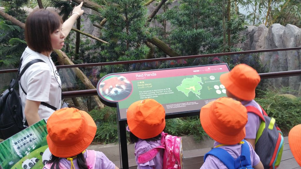 WOW Wild Learn Programme (娃娃游园乐) — photo 8