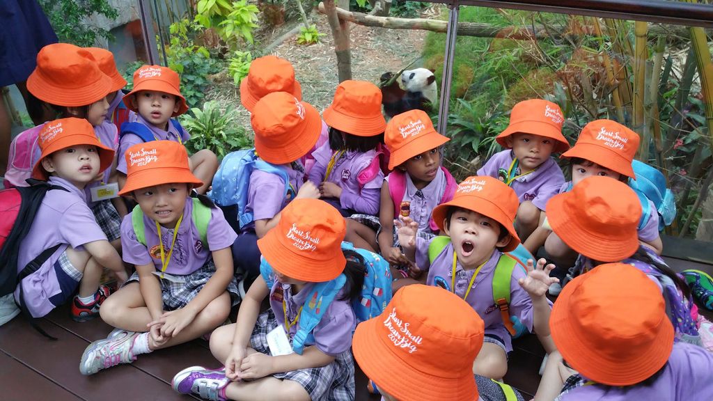 WOW Wild Learn Programme (娃娃游园乐) — photo 9