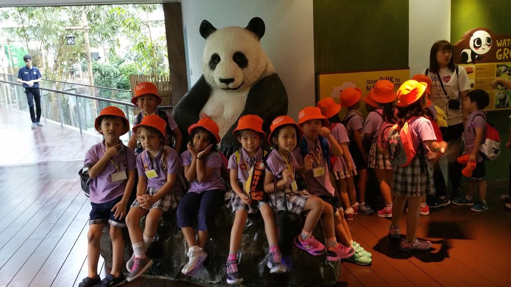 WOW Wild Learn Programme (娃娃游园乐) — photo 10