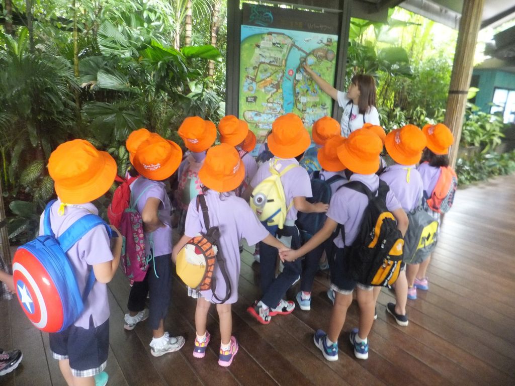 WOW Wild Learn Programme (娃娃游园乐) — photo 11