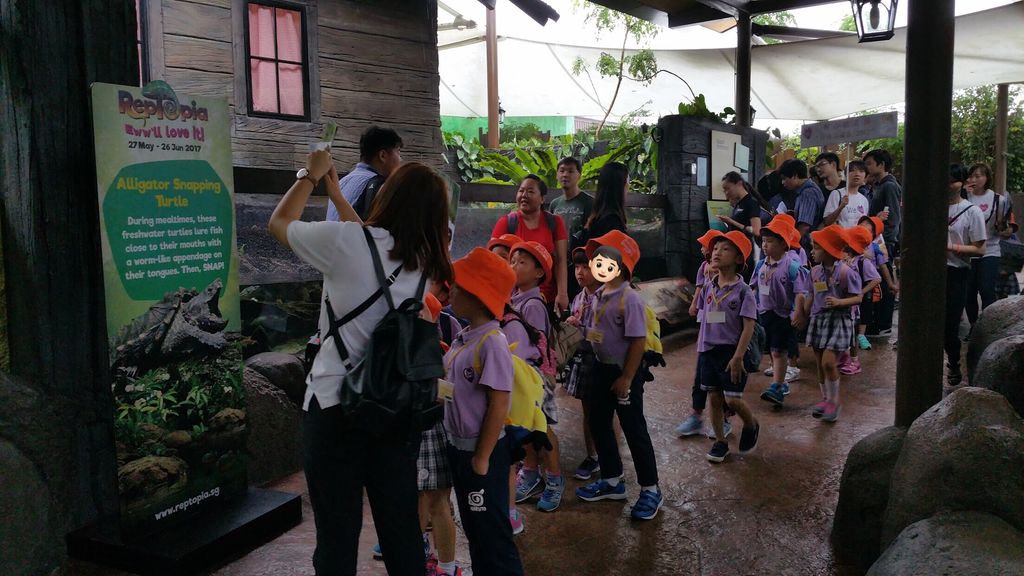 WOW Wild Learn Programme (娃娃游园乐) — photo 14