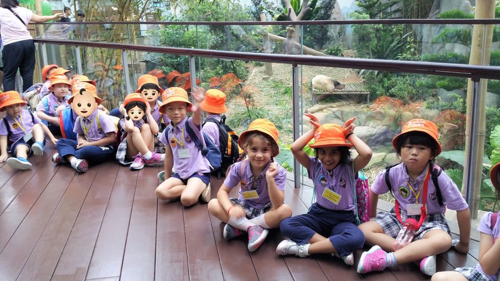 WOW Wild Learn Programme (娃娃游园乐) — photo 15