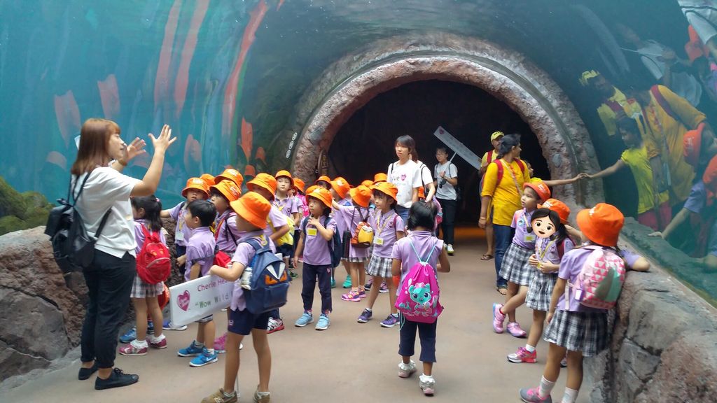 WOW Wild Learn Programme (娃娃游园乐) — photo 16