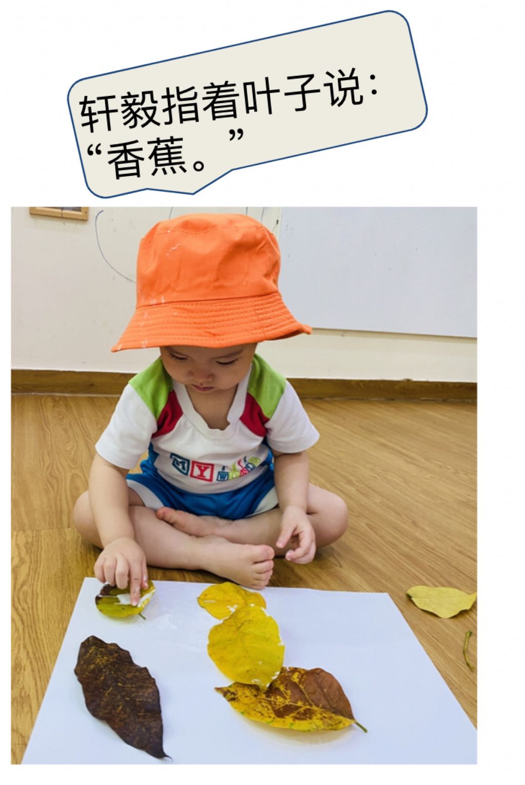 ssdb: 我们的社区（爱护环境、关心他人） — photo 4