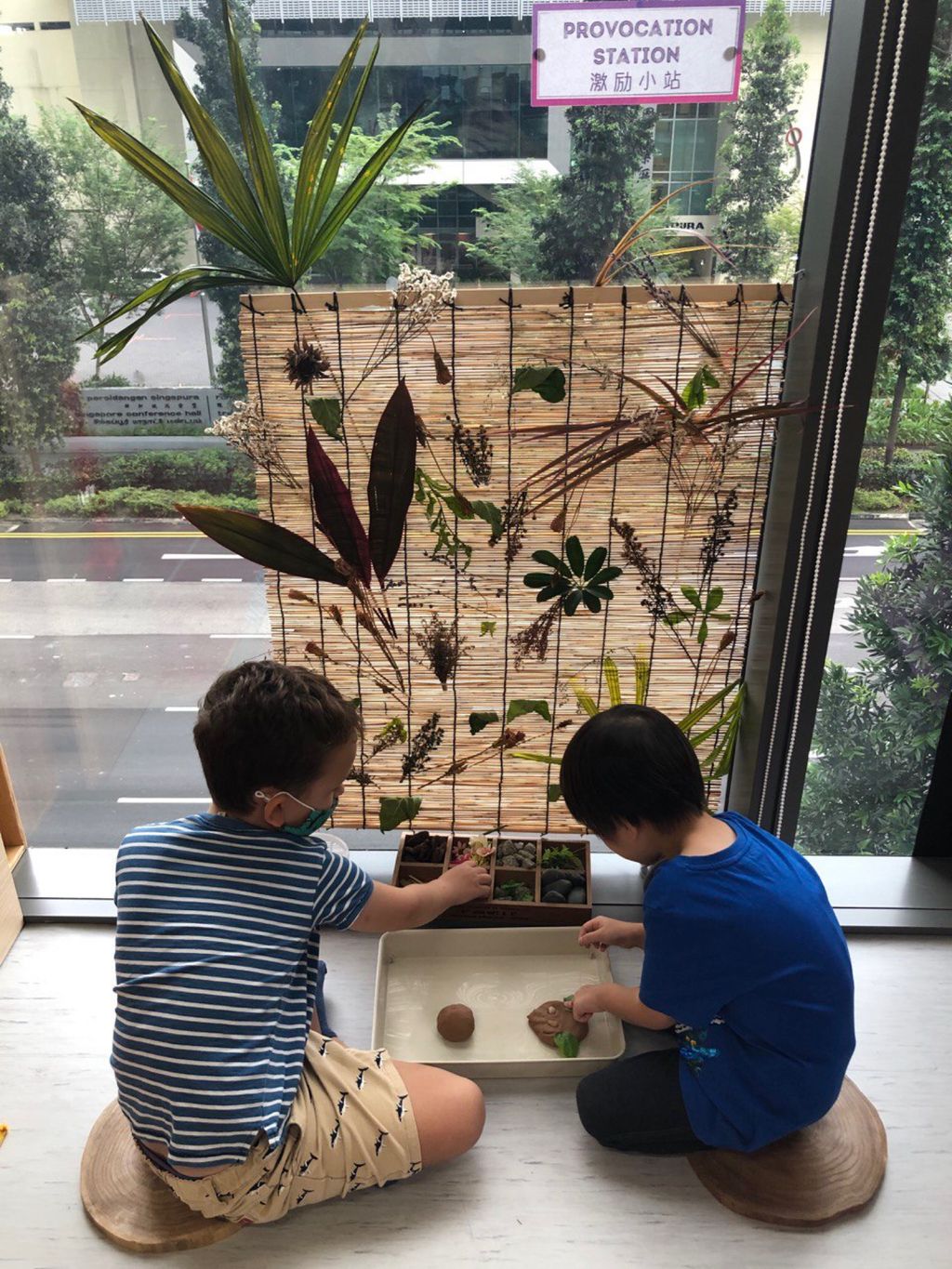 Exploring Plants We Can See 👀🌱 - Provocation Station on Plants