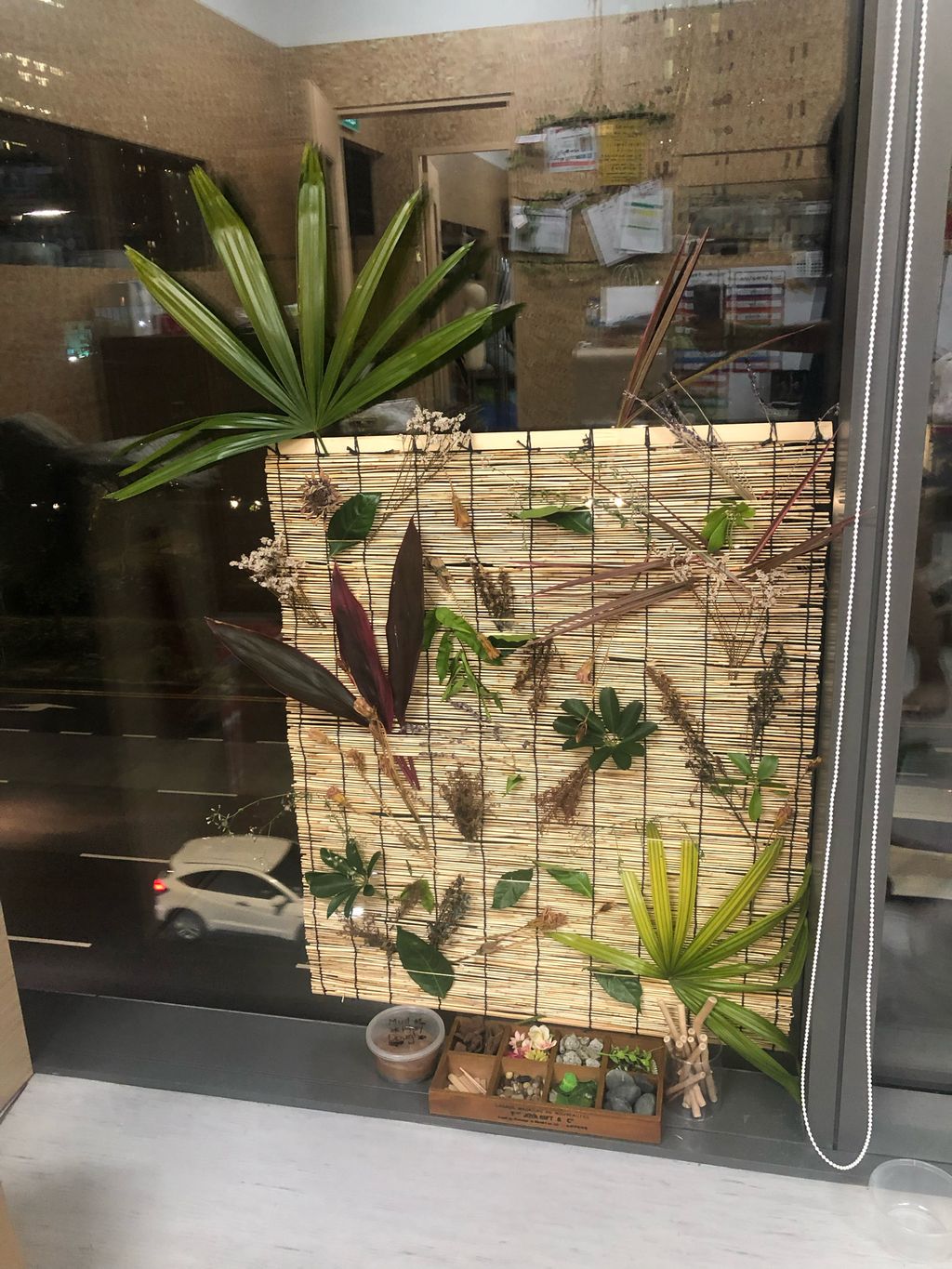 Exploring Plants We Can See ππ± - Provocation Station on Plants β photo 2