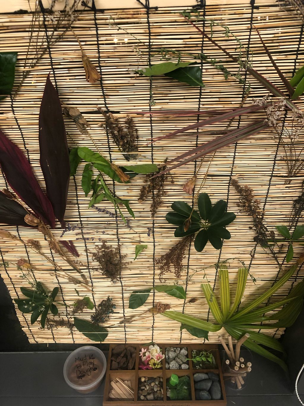 Exploring Plants We Can See ππ± - Provocation Station on Plants β photo 3