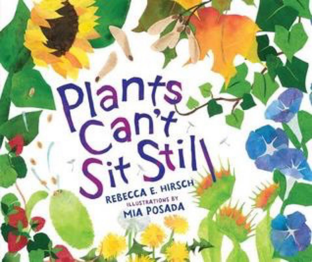 Exploring Plants We Can See ππ± - Observing How Plants Move