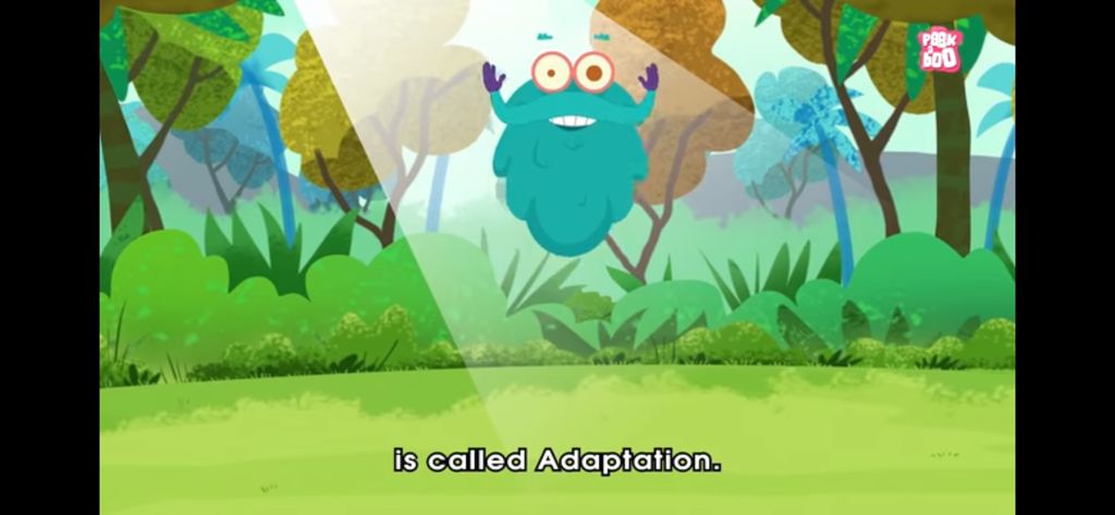 Exploring Plants We Can Feel βπ»πΏ - Plant Adaptations