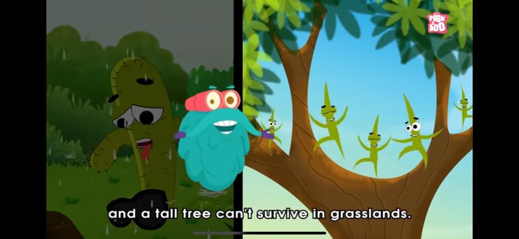 Exploring Plants We Can Feel ✋🏻🌿 - Plant Adaptations — photo 3