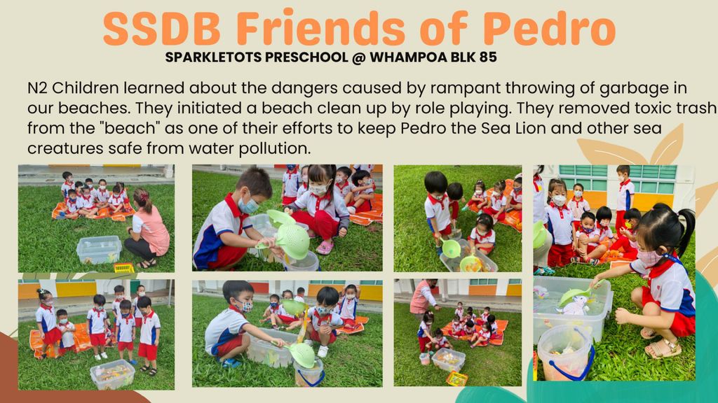 Beach Clean Up for Pedro & Sea Creatures