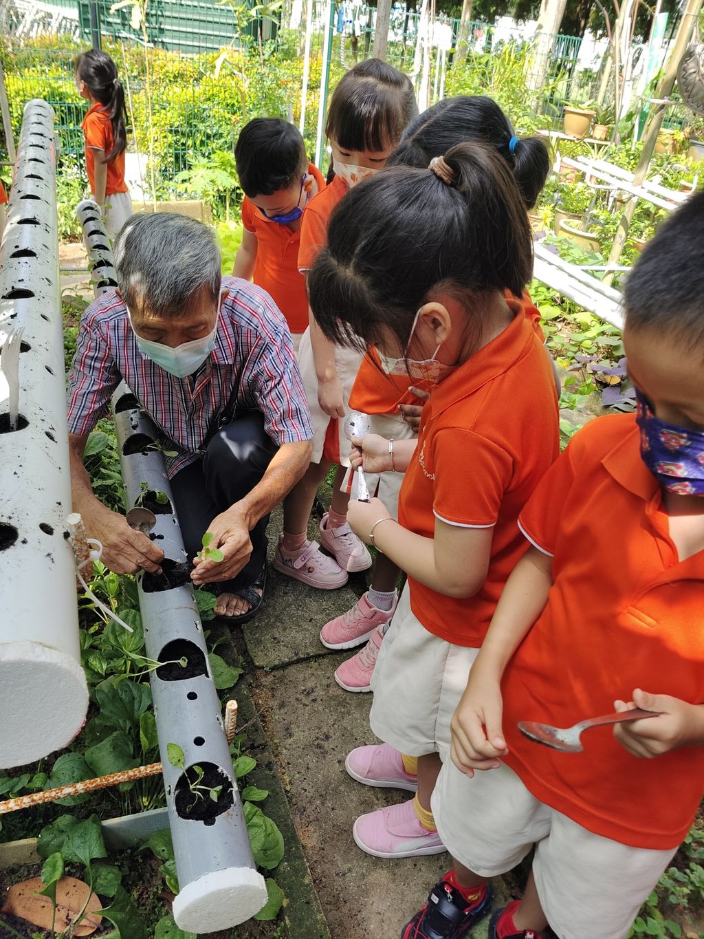 Little Green Fingers