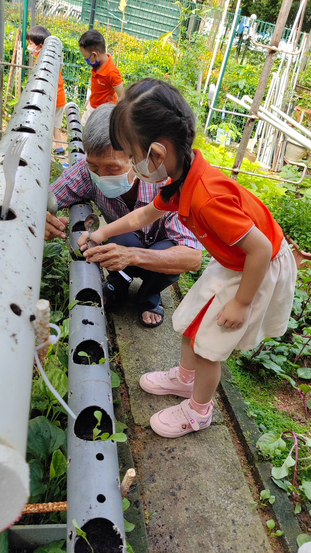 Little Green Fingers — photo 4