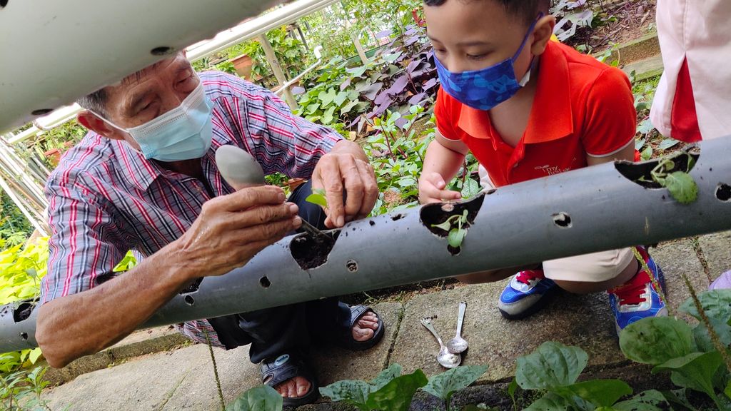 Little Green Fingers — photo 6