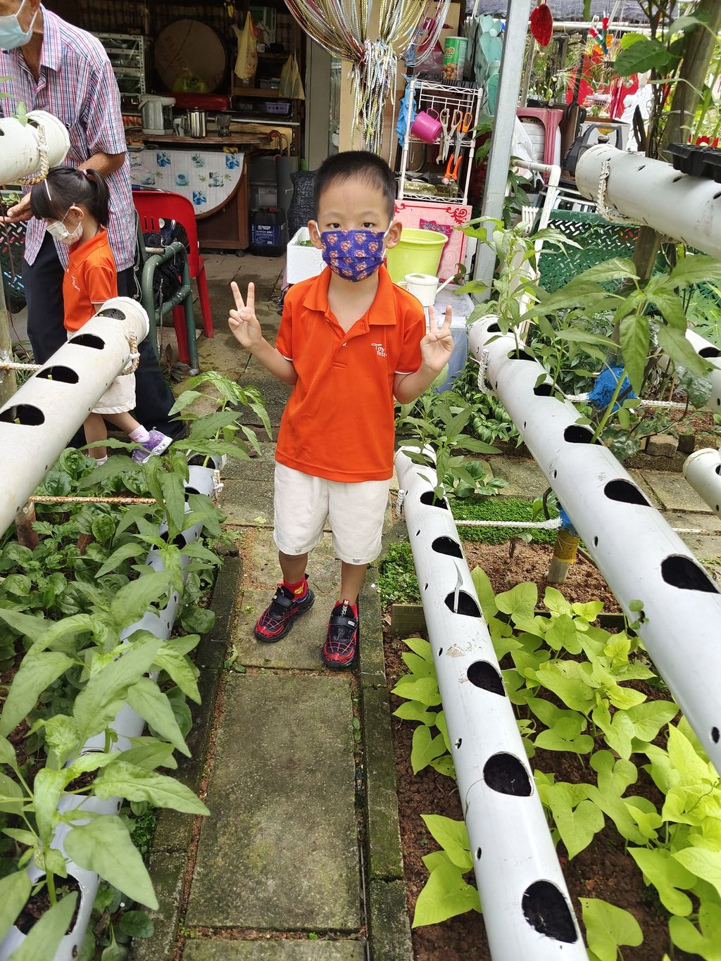 Little Green Fingers — photo 7